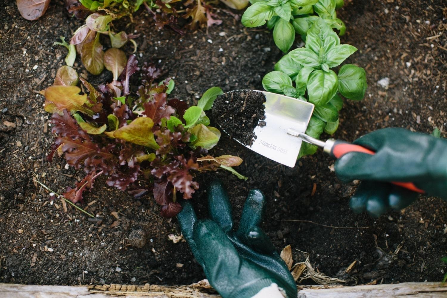 garden shovel